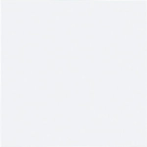 Ώ\ ݎnv[g KS-DD() 50×50mm 6g Gr [228045] ̔PʁF1