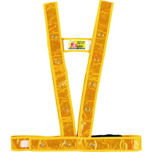 Ώ\ LEDS˃xXg n/LED/ LED^XL^xXg-GW t[TCY(TCY\) [238025] 238025 ̔PʁF1 