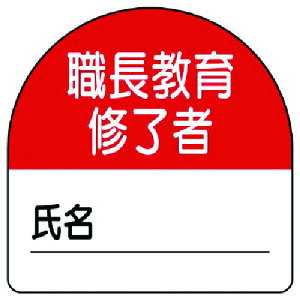 jbg C҃XebJ[E PPXebJ[ 35×35 10g [371-20] ̔PʁF1