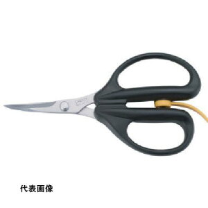 Li[ A[X[ J[un [AW-165C] ̔PʁF1