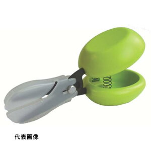 Li[ JX^ O[ [D-CASTA-G] ̔PʁF1