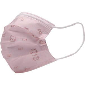 CAR-BOY ǂp}XN L [FM-59] FM59 ̔PʁF1