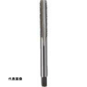 ISF SKSnh^bv [g˂E y#3z M8X1.25 [IS-S-HT-M8X1.25-3] ̔PʁF1