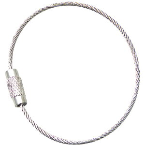 DOGYU ڑC[O (lW) [01569] 01569 ̔PʁF1