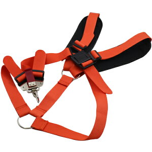 Oz @p|oh \tgV_[_u NEO [0804] 0804 ̔PʁF1