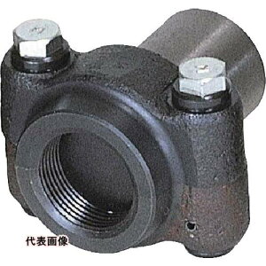 REX jbvA^b`g 3 NA[80 [1701NH] 1701NH ̔PʁF1 