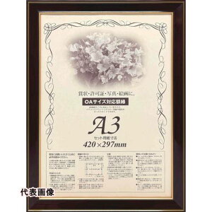 z z ܏z lIP OA-A3 0142 [501436] 501436 ̔PʁF1