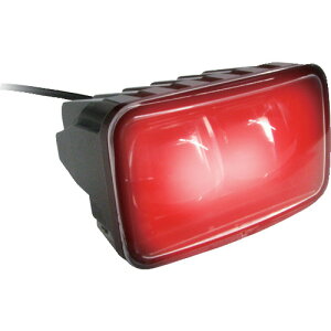 ؐ쏊 tH[Ntg LEDCCg(ԐF) [AMEX-FL01R] AMEXFL01R ̔PʁF1 