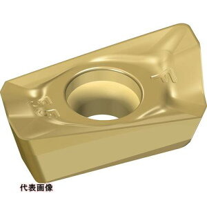 Walter ~[OHp Ђ`|W`bv WSP45G [BCMT120408R-F55 WSP45G] BCMT120408RF55 10Zbg 