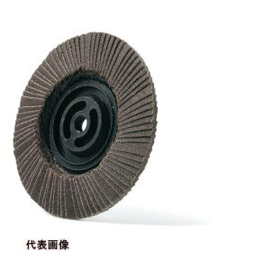 MURAKO �f�B�X�N�y�[�p�[ �g�u���b�N�f�B�X�N�h �A�����_�� �O�a100�� M10�� 60# [BD100M10A-60] 10�Z�b�g ��������