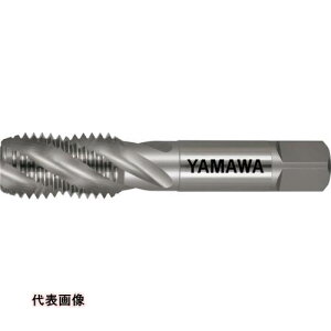 } Yf|pXpC^bv HC-SP P3 1-W8 [HC-SP-P3-1-W8] HCSPP31W8 ̔PʁF1 