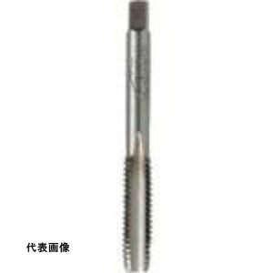 ISF SKSnh^bv [g˂E y#2z M8X1.25 [IS-S-HT-M8X1.25-2] ̔PʁF1