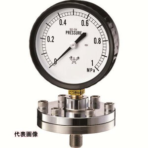 �E�� �u�������͌v BT-1�^ [KA-BT-1-9-316-1MPA] KABT193161MPA �̔��P�ʁF1 ��������