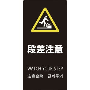  X^hTC LSTC ubN i [LS2246B-5] LS2246B5 ̔PʁF1