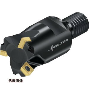 Walter Jb^[ [M4002-035-TC16-04-01] M4002035TC160401 ̔PʁF1 