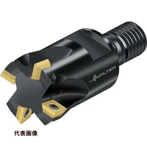 Walter �����J�b�^�[ [M4132-020-TC10-03-06] M4132020TC100306 �̔��P�ʁF1 ��������