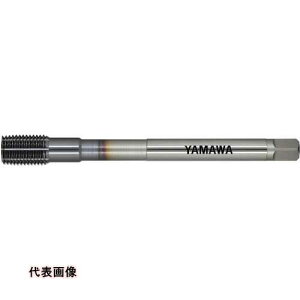 ���}�� Z-PRO ���d�x�Y�f�|�p���[���^�b�v MHRZ G8 M12X1.25 P [MHRZ-Z-G8-M12X1.25-P] MHRZZG8M12X1.25P �̔��P�ʁF1 ��������