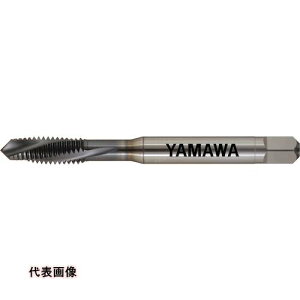 ���}�� Z-PRO ���d�x�Y�f�|�p�ʂ茊�p�X�p�C�����^�b�v MHSL P3 M6X1 [MHSL-Z-P3-M6X1] MHSLZP3M6X1 �̔��P�ʁF1