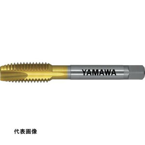 } R[eBO|Cg^bv PO V P3 M12X1.5 [N-PO-V-M12X1.5] ̔PʁF1 