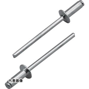 Gr uChxbg(A~/XeB[)5-3(1000{)  [NSA53A] NSA53A ̔PʁF1 