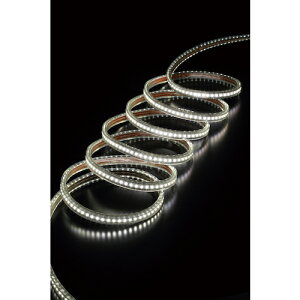 n^ LEDe[vCgRЖ [RLTP-10] RLTP10 ̔PʁF1 