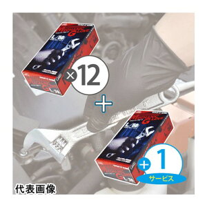 GXe[ y10/1~12/31Z[z f[uNo.1100RJjbNO[uM 12+1Ly[ [ST76111CP2] ST76111CP2 ̔PʁF1 