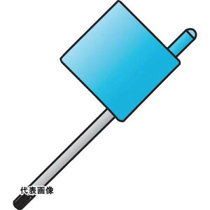 CXJ i gNXL[ [T-2010/5] T20105 ̔PʁF1