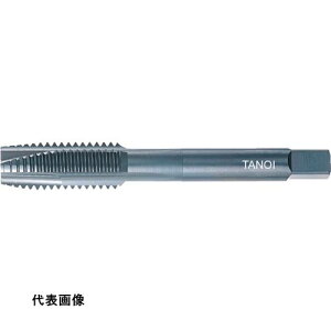 c䐻쏊 TK^bvEXeXp M10X1.5 GT7 00366 [TGN-SUSM10X1.5GT7] TGNSUSM10X1.5GT7 ̔PʁF1