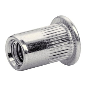 Rapid uChibg M6×1.0(20) [5000673] 5000673 ̔PʁF1