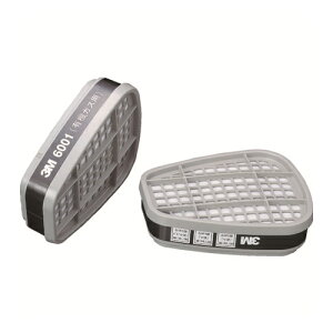3M �h�Ń}�X�N�p�z���� 6001 2���� [6001] �̔��P�ʁF1