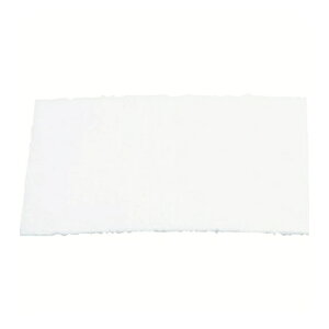 3M Aht[[[TM]] vtB^[ 836010 5/1 [836010] ̔PʁF1