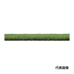 IRIS 107998 �����O�p�C���l�H�� 1m×20m [CT-30120R] CT30120R �̔��P�ʁF1 ��������