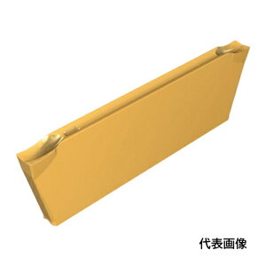 �C�X�J�� �h�D�[�O���b�v �`�b�v DGN-J IC1010 [DGN 1001J-D22 IC1010] DGN1001JD22 10�Z�b�g ��������