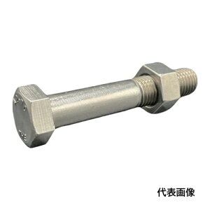 HI�[LEAD �Z�p�{���g�E�i�b�g(�{�̋K�i/�VJIS) A2-70 SUS304/�X�e�����X M16X90L �s�b�`2.0 ���˂� �X�^�C��1�i�b�g [IS6HBNA270-M1690P20] IS6HBNA270M1690P20 �̔��P�ʁF1