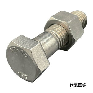 HI�[LEAD �Z�p�{���g�E�i�b�g(�{�̋K�i/�VJIS) A2-70 SUS304/�X�e�����X M20X60L �s�b�`2.5 ���˂� �X�^�C��1�i�b�g [IS6HBNA270-M2060P25] IS6HBNA270M2060P25 �̔��P�ʁF1