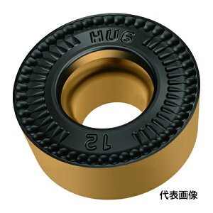 Walter ������H�p�`�b�v �ۋ�|�W�^�C�v WPP20G [RCMT10T3M0-HU6 WPP20G] RCMT10T3M0HU6 10�Z�b�g ��������