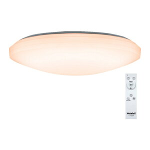 HotaluX LED�V�[�����O���C�g �����^�C�v ~8���p 3300lm �d���F SLDZ08790L [SLDZ08790L] SLDZ08790L �̔��P�ʁF1 ��������