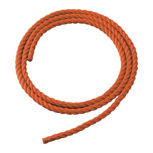 TRUSCO �g���X�R���R 2�A�͂���51�p�����p�[�c ���[�v 5m �I�����W�F [TDLAR-51] TDLAR51 �̔��P�ʁF1 ��������