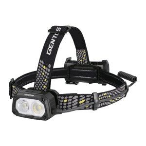 GENTOS �w�b�h���C�g �e�B�[���b�N�X TX-D434R [TX-D434R] TXD434R �̔��P�ʁF1 ��������