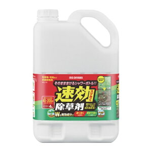 IRIS 110884 ���������� 4L [WSJ-4L] WSJ4L �̔��P�ʁF1