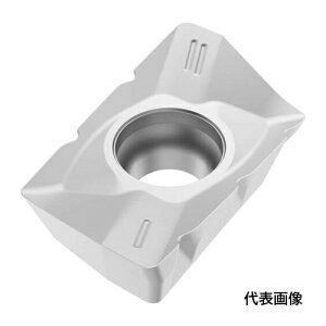 �Z�R �t���C�X �^�[�{�~���p�C���T�[�g XOMX18�ECS MS2050 [XOMX180608R-M10-CS MS2050] XOMX180608RM10CS 10�Z�b�g ��������