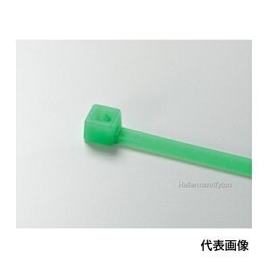 TYTON �J���[�^�C ��3.5×����152mm �����g�p (100�{��) �u���O���[�� [T30R-GRN-L] �̔��P�ʁF1