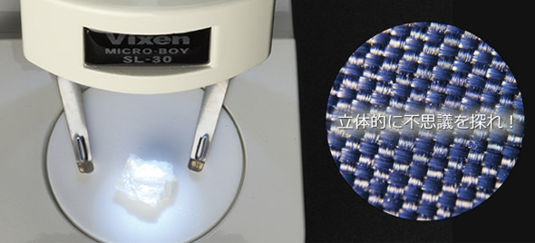楽天市場】双眼 実体顕微鏡 30倍 SL-30CS ミクロボーイ 生物顕微鏡