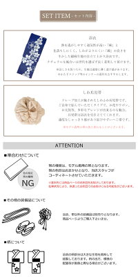 浴衣セットゆかたセット2点セット高級浴衣レディース女性大人綿麻麻混個性派レトロ昭和昭和レトロ古典古典柄大正送料無料