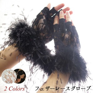 tFU[@O[u@܁@t@[p[eB[@@EGfBO@l@Lo@RXv@tBK[X@w؂@[֑Ώ5|Cg@