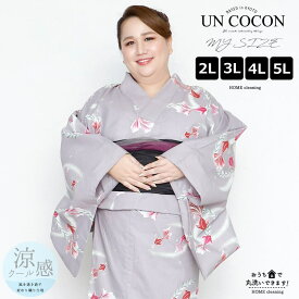 浴衣 大きいサイズ レディース ゆかた 大人 浴衣単品 3L 4L ぽっちゃり ふくよかさん向け 大きい 女性 大人浴衣 ワイド 大正浪漫 古典