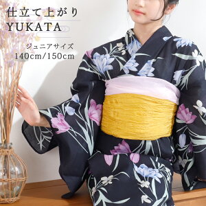 q Pi WjA WjA q  ̎q 140 150 160 g    ԕ 