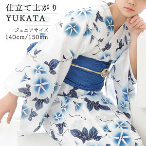 q Pi WjA WjA q  ̎q 140 150 160 g   ԕ  u[