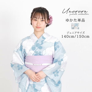 q Pi WjA WjA q  ̎q 140 150 160 g  F ~ u[ 