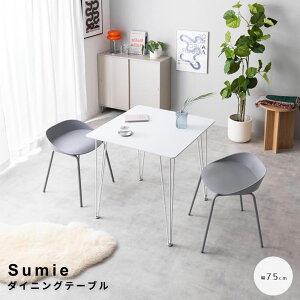 _CjOe[u 75cm^Cv 2l| e[u ` p` ꖇ 傫 L V r Vo[r Pi e[uP t@~[ Ƒ rO _CjO fUCi[YƋ C